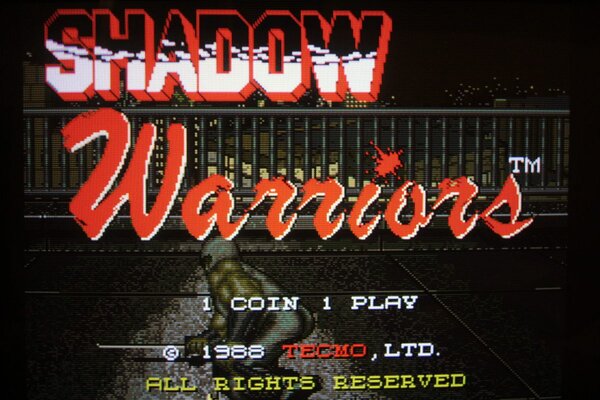 Aquí se puede ver la pantalla de presentación del Shadow Warriors mostrando los sprites correctamente